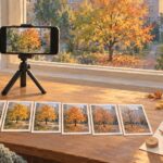 Один кадр в день: как снять недельный фотодневник осени из одной точки